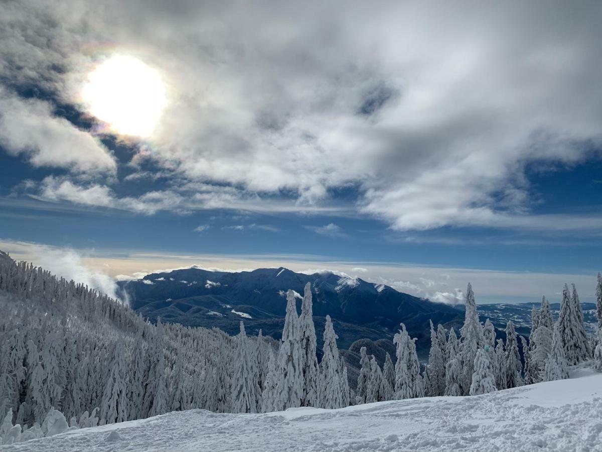 Silver Mountain Poiana Brașov Zewnętrze zdjęcie