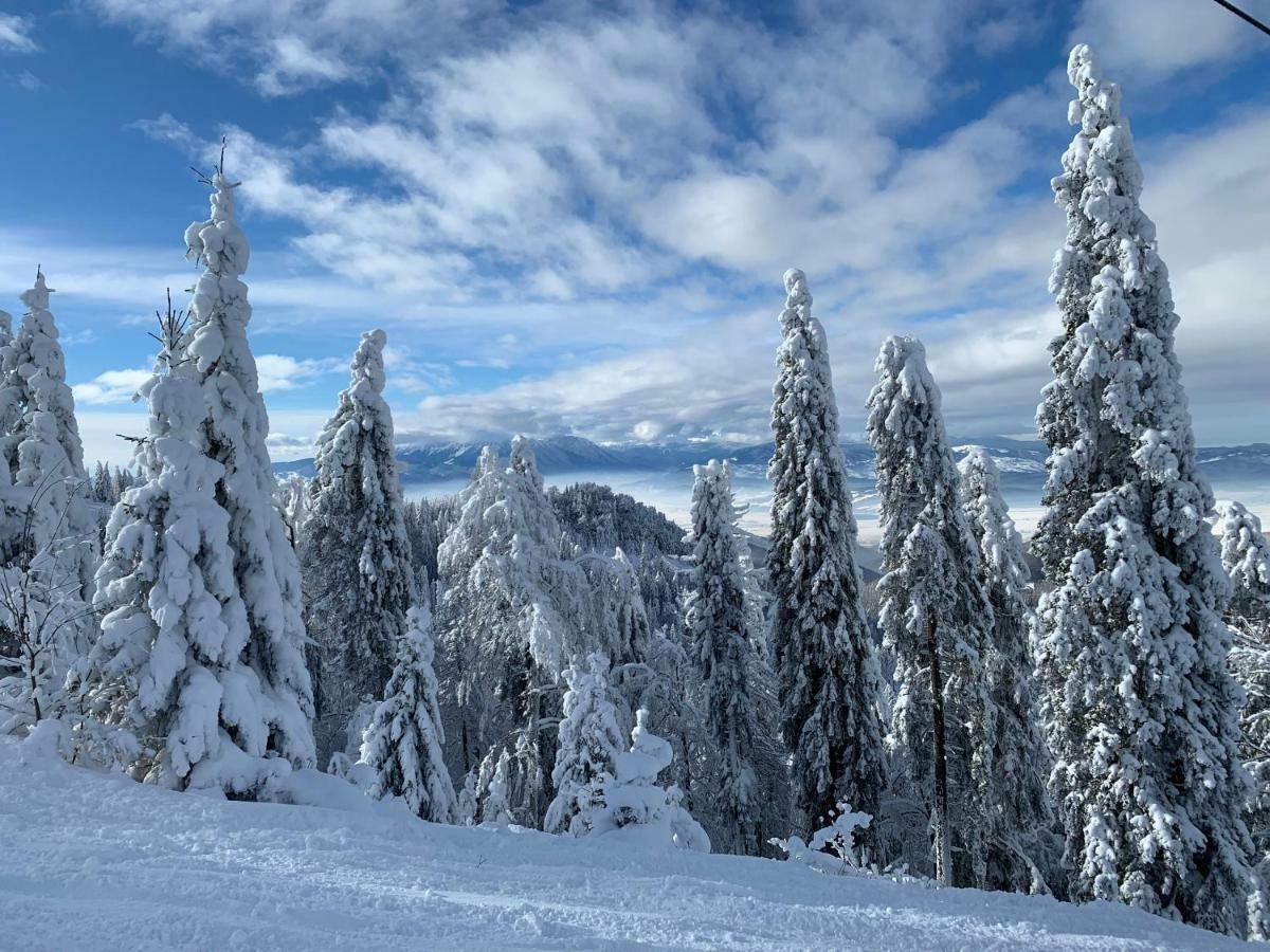 Silver Mountain Poiana Brașov Zewnętrze zdjęcie