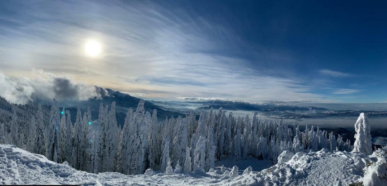 Silver Mountain Poiana Brașov Zewnętrze zdjęcie